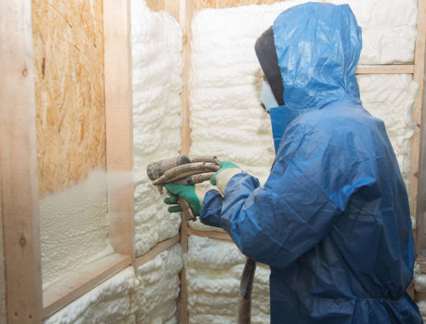 Best Attic Insulation Installation  in Elkton, KY